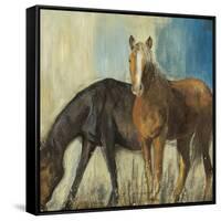 Horses II-Andrew Michaels-Framed Stretched Canvas