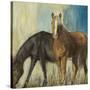 Horses II-Andrew Michaels-Stretched Canvas