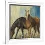 Horses II-Andrew Michaels-Framed Art Print