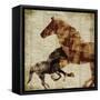 Horses II-Dan Meneely-Framed Stretched Canvas
