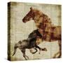 Horses II-Dan Meneely-Stretched Canvas