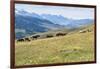 Horses, Ile-Alatau National Park, Tien Shan Mountains, Assy Plateau, Almaty, Kazakhstan, Central As-G&M Therin-Weise-Framed Photographic Print