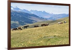 Horses, Ile-Alatau National Park, Tien Shan Mountains, Assy Plateau, Almaty, Kazakhstan, Central As-G&M Therin-Weise-Framed Photographic Print