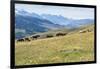 Horses, Ile-Alatau National Park, Tien Shan Mountains, Assy Plateau, Almaty, Kazakhstan, Central As-G&M Therin-Weise-Framed Photographic Print