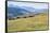 Horses, Ile-Alatau National Park, Tien Shan Mountains, Assy Plateau, Almaty, Kazakhstan, Central As-G&M Therin-Weise-Framed Stretched Canvas