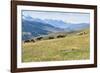 Horses, Ile-Alatau National Park, Tien Shan Mountains, Assy Plateau, Almaty, Kazakhstan, Central As-G&M Therin-Weise-Framed Photographic Print