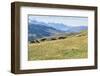 Horses, Ile-Alatau National Park, Tien Shan Mountains, Assy Plateau, Almaty, Kazakhstan, Central As-G&M Therin-Weise-Framed Photographic Print