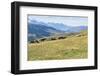 Horses, Ile-Alatau National Park, Tien Shan Mountains, Assy Plateau, Almaty, Kazakhstan, Central As-G&M Therin-Weise-Framed Photographic Print