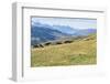 Horses, Ile-Alatau National Park, Tien Shan Mountains, Assy Plateau, Almaty, Kazakhstan, Central As-G&M Therin-Weise-Framed Photographic Print