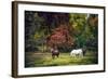 Horses in a Field at Fall in USA-Jody Miller-Framed Photographic Print