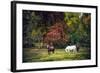 Horses in a Field at Fall in USA-Jody Miller-Framed Photographic Print