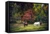 Horses in a Field at Fall in USA-Jody Miller-Framed Stretched Canvas