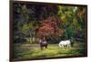 Horses in a Field at Fall in USA-Jody Miller-Framed Photographic Print