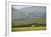 Horses in a Field Near Tafi Del Valle, Salta Province, Argentina, South America-Yadid Levy-Framed Photographic Print