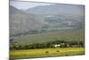 Horses in a Field Near Tafi Del Valle, Salta Province, Argentina, South America-Yadid Levy-Mounted Photographic Print