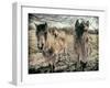 Horses in a Field-Tim Kahane-Framed Photographic Print
