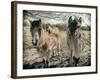 Horses in a Field-Tim Kahane-Framed Photographic Print