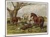 Horses in a Field-null-Mounted Art Print