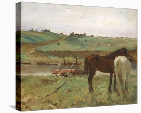 Horses in a Meadow, 1871-Edgar Degas-Stretched Canvas