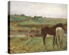 Horses in a Meadow, 1871-Edgar Degas-Stretched Canvas