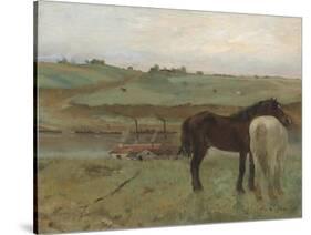 Horses in a Meadow, 1871-Edgar Degas-Stretched Canvas