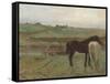 Horses in a Meadow, 1871-Edgar Degas-Framed Stretched Canvas