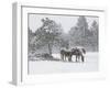 Horses in a Snowstorm, Colorado, United States of America, North America-James Gritz-Framed Photographic Print