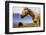 Horses in Boulder, Colorado-Sergio Ballivian-Framed Photographic Print