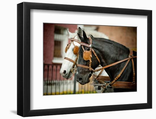 Horses in Carriage-mari_art-Framed Photographic Print
