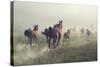 Horses in Dust-conrado-Stretched Canvas
