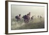 Horses in Dust-conrado-Framed Photographic Print