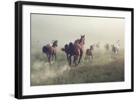 Horses in Dust-conrado-Framed Photographic Print