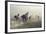 Horses in Dust-conrado-Framed Photographic Print