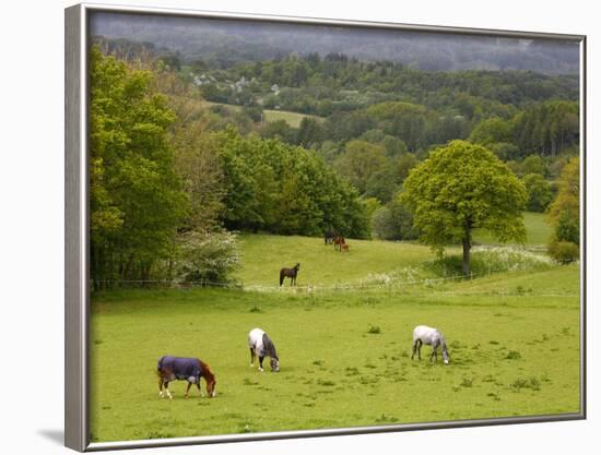 Horses in Field Near Vejle, Jutland, Denmark, Scandinavia, Europe-Yadid Levy-Framed Photographic Print