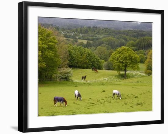 Horses in Field Near Vejle, Jutland, Denmark, Scandinavia, Europe-Yadid Levy-Framed Photographic Print