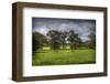 Horses in Green Field-Nish Nalbandian-Framed Art Print