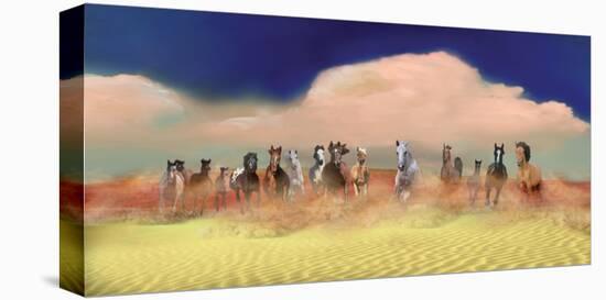 Horses In Heaven-Nancy Tillman-Stretched Canvas