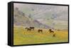 Horses in Meadow, Caliente, California, USA-Jaynes Gallery-Framed Stretched Canvas