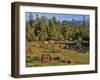 Horses in Meadow-Steve Terrill-Framed Photographic Print