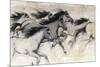 Horses in Motion I-Tim O'toole-Mounted Premium Giclee Print