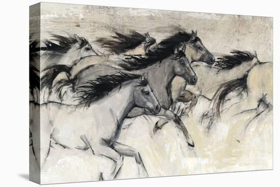 Horses in Motion I-Tim O'toole-Stretched Canvas