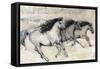 Horses in Motion II-Tim O'toole-Framed Stretched Canvas
