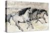 Horses in Motion II-Tim O'toole-Stretched Canvas