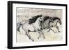 Horses in Motion II-Tim O'toole-Framed Premium Giclee Print