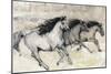 Horses in Motion II-Tim O'toole-Mounted Art Print