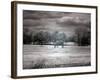 Horses in Rural Alabama-Carol Highsmith-Framed Photo