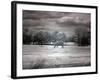 Horses in Rural Alabama-Carol Highsmith-Framed Photo