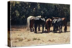 Horses in Sun, Circa 1880-Giovanni Fattori-Stretched Canvas