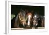 Horses in the Barn Door-accept-Framed Photographic Print