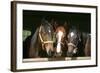 Horses in the Barn Door-accept-Framed Photographic Print